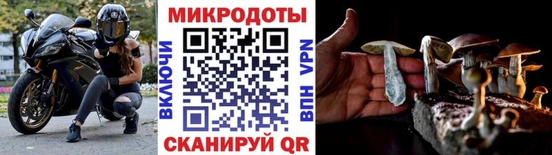 Галлюциногенные грибы Psilocybe  Троицк 